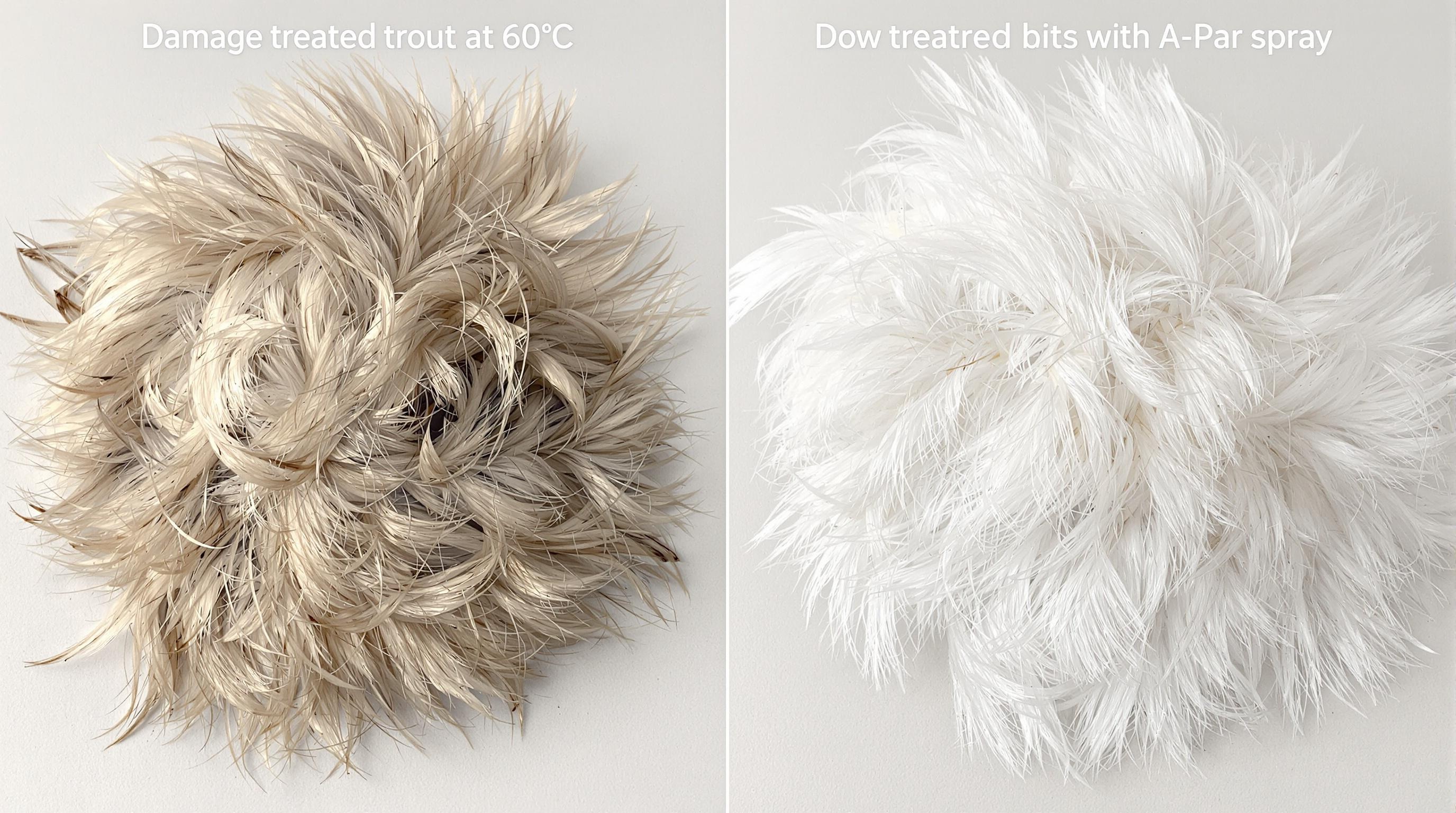 Comparaison entre duvet lavé à 60°C et traité avec spray A-Par