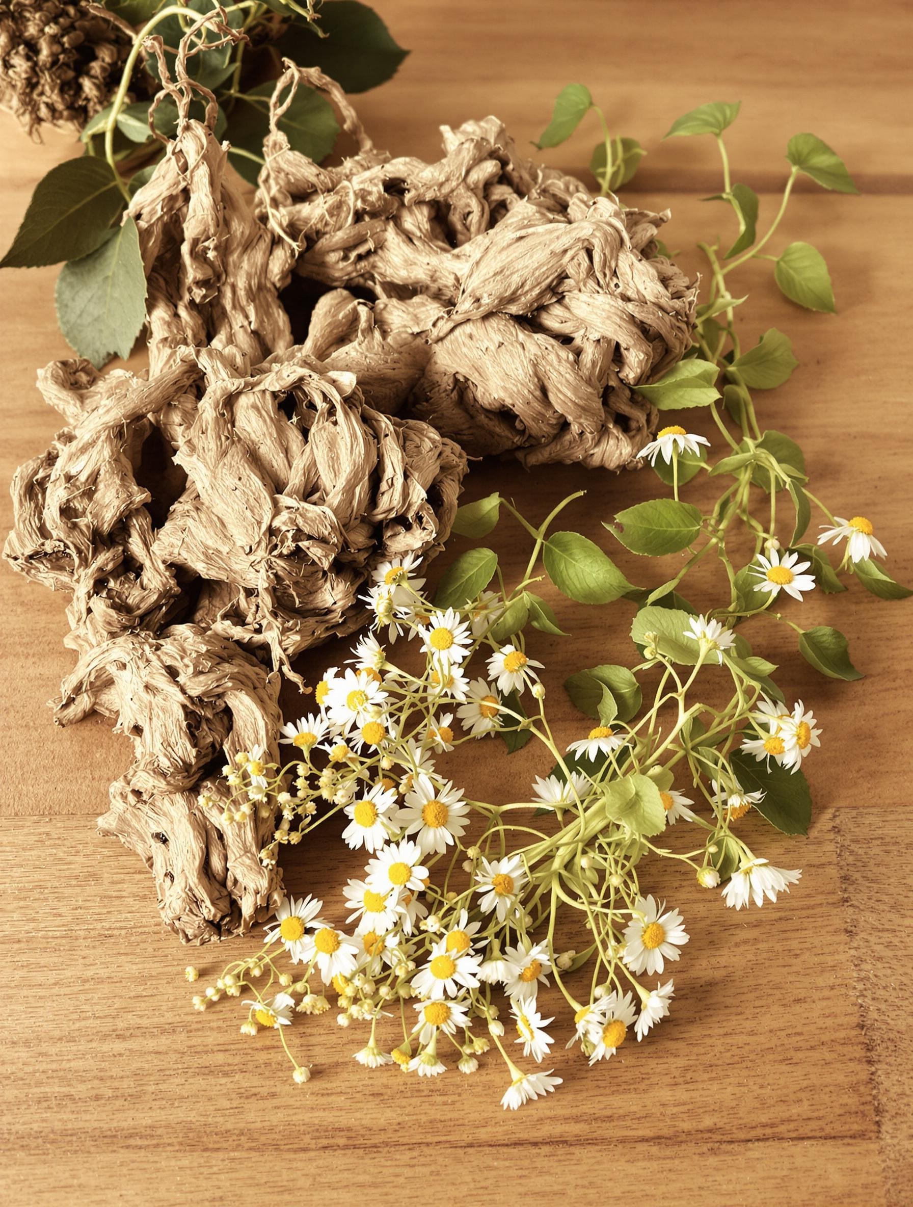 Valériane, camomille et passiflore pour le sommeil et la phytothérapie